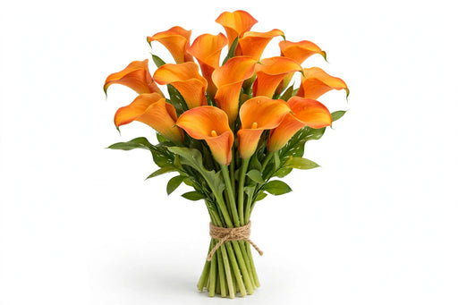Calla Lily Mini Orange 50CM - 80 Stems/Box
