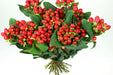Next Day Delivery - HYPERICUM TRUE ROMANCE 60cm 10st - Red - 90 Stems [LIMITED]