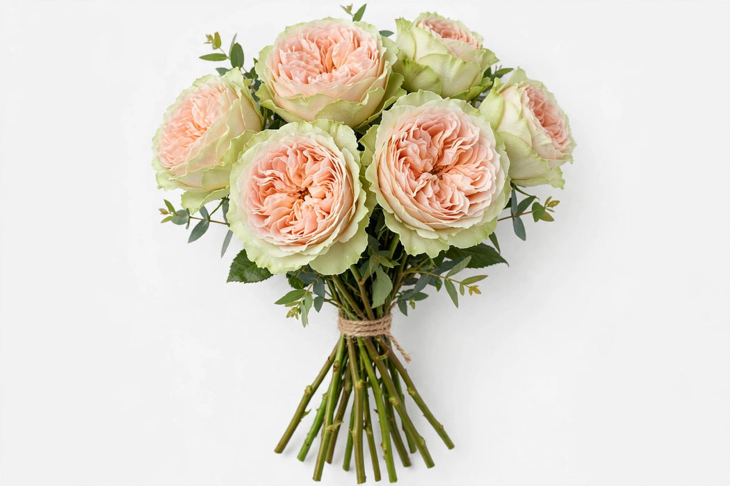 Garden Roses Garden Spirit 100ST/BX