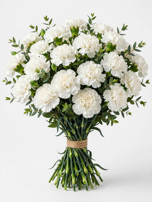 Carnations White Fancy 250ST/BX