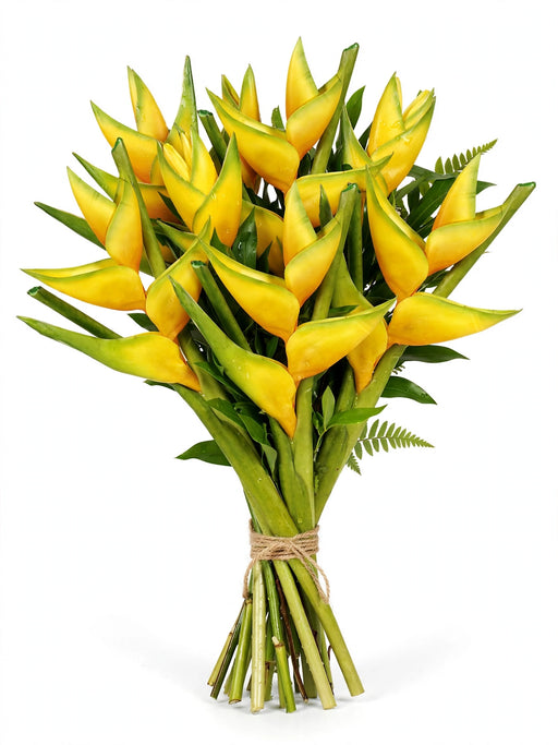 Maracas Yellow 40ST/BX