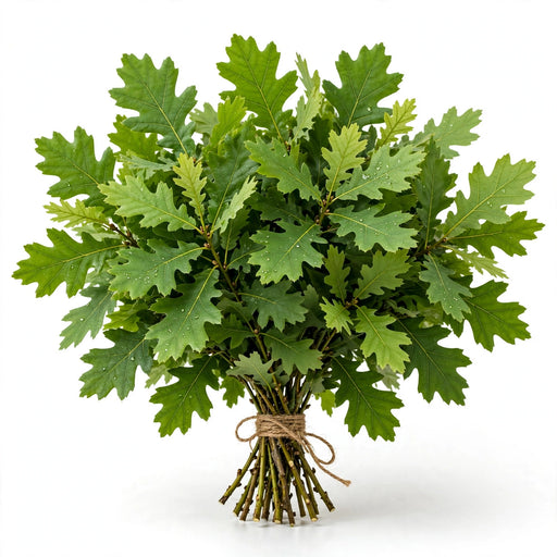Oak Leaves Harvest - 10 Bunches/Box