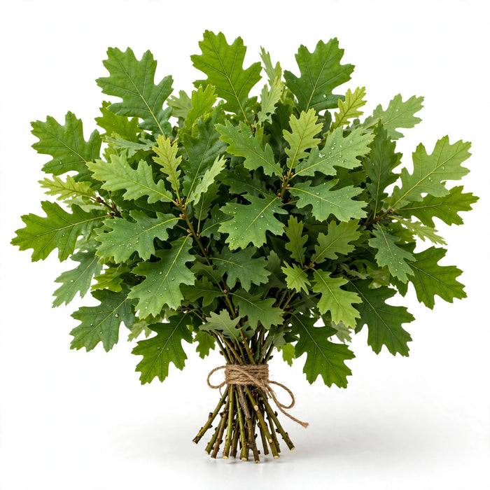 Oak Leaves Harvest - 10 Bunches/Box