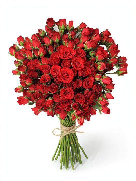 Spray Roses Red Mikado 40cm 120ST/BX
