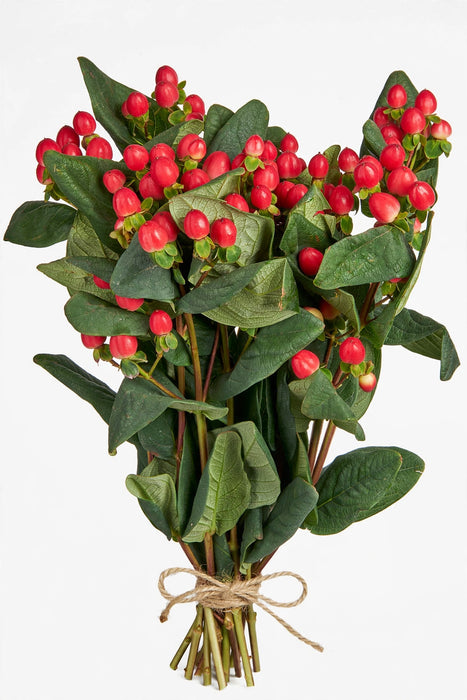 Hypericum Red Romance 60cm - 9 Bunches/Box