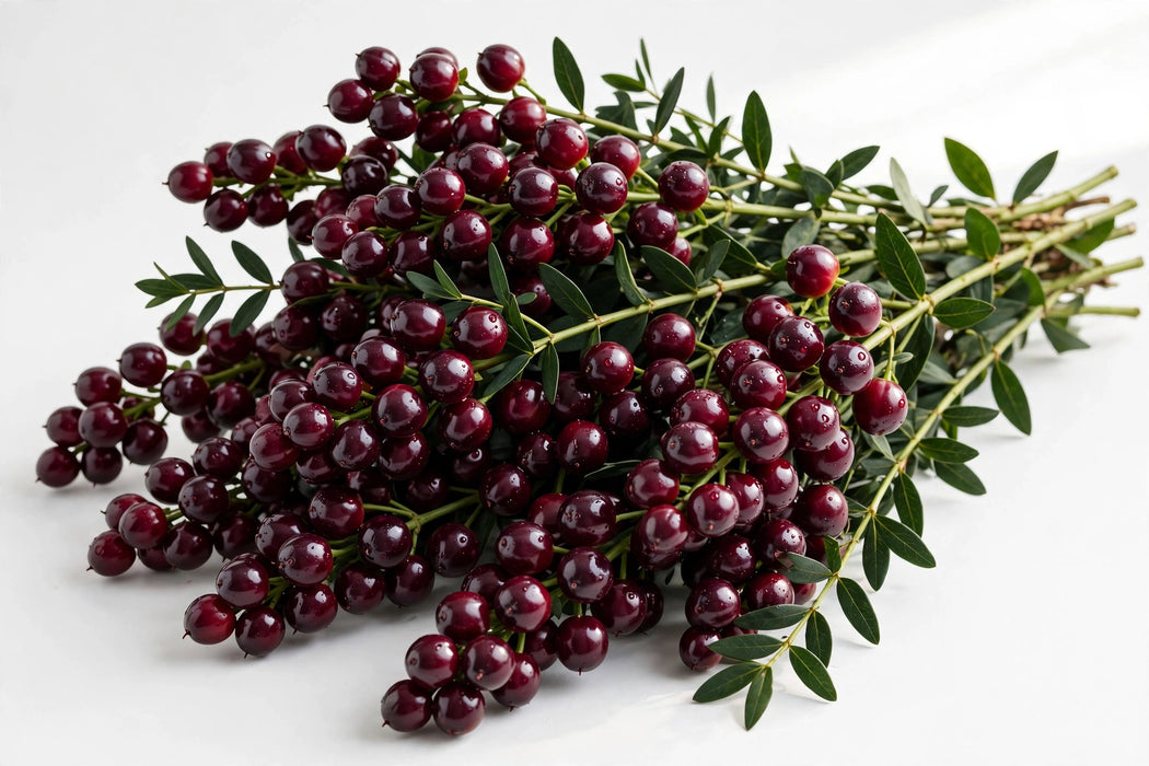 Next Day Delivery - Hypericum Burgundy 60CM 9BU/BX