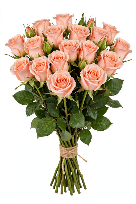 Roses Tiffany 50CM 100ST/BX