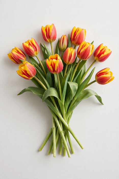 Tulip Collective - Denmark 37cm 35gr (50 STEMS / BX)