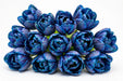Tulip Collective - Dyed Bluetooth 37Cm 35Gr - Blue - 150 Stems