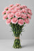 Carnations - Moonburst (100 Stems)