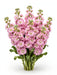 Next Day Delivery - STOCK PINK 70cm 10st - Pink - 80 Stems [LIMITED]