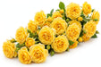 Next Day Delivery - ROSE CUBANA 60cm 6,5cm 25st - Yellow - 100 Stems [LIMITED]