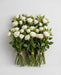Spray Roses Snow Flake 40cm 100ST/BX