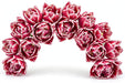 Tulip Collective - Double Valeska 35Cm 35Gr - Bicolor Cerise-White - 150 Stems