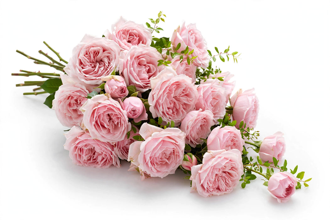 Next Day Delivery - ROSE PRINCESS HITOMI 45cm 5cm 12st - Light Pink - 48 Stems [LIMITED]