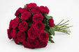 Next Day Delivery - ROSE TESS 45cm 4,5cm 12st - Red - 48 Stems [LIMITED]