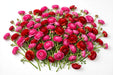The Ranunculus Collection - Ranunculus Assorted 50 Hot Pink + 50 Red 50-60CM (100 STEMS / BX)