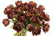 Tulip Collective - Dyed Brownies 37Cm 30Gr - Brown - 150 Stems