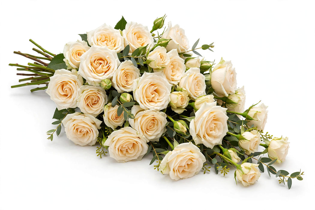 Next Day Delivery - ROSE CREME DE LA CREME 50cm 6cm 25st - Cream - 100 Stems [LIMITED]