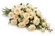 Next Day Delivery - ROSE CREME DE LA CREME 50cm 6cm 25st - Cream - 100 Stems [LIMITED]