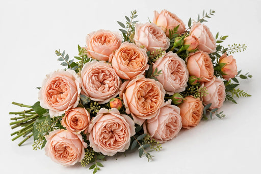 Next Day Delivery - ROSE ART NUVEAU 50cm 6cm 12st - Peach - 48 Stems [LIMITED]