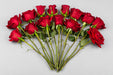 Next Day Delivery - Roses Freedom 50CM 125ST/BX