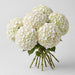 Next Day Delivery - HYDRANGEA WHITE PREMIUM 60cm 20cm - White - 30 Stems [LIMITED]