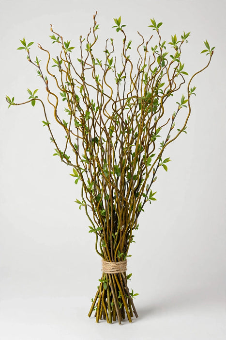 Curly Willow Tips - 4 Bags/In