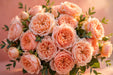Next Day Delivery - ROSE JUICY XPRESSION 50cm 5cm 25st - Peach - 100 Stems [Limited]