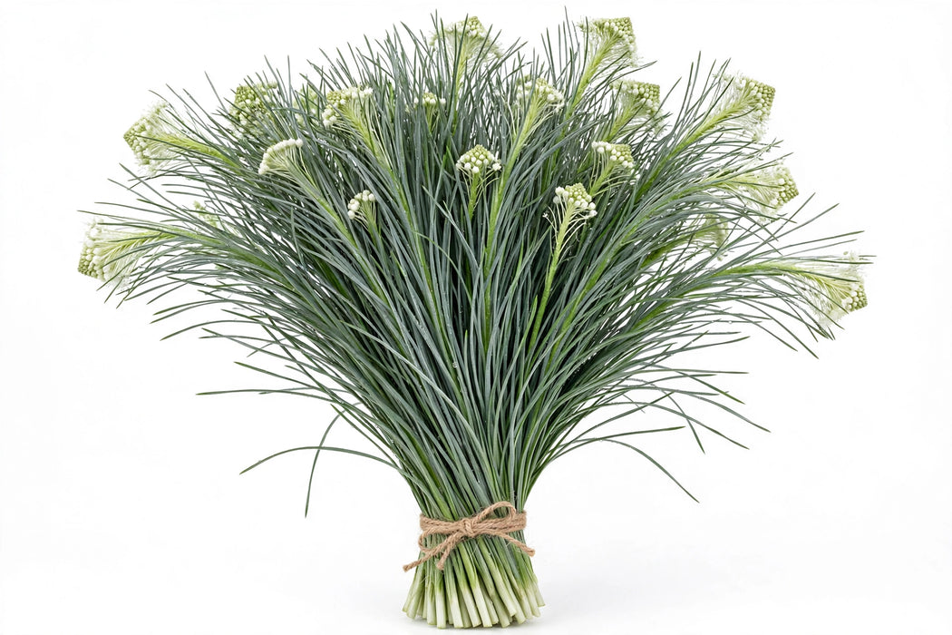 Beargrass - 20 Bunches/Box