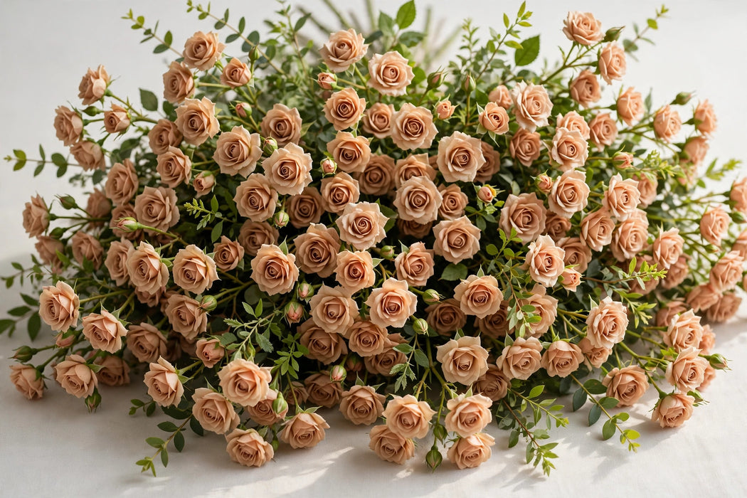 Next Day Delivery - Spray Roses Sahara Sensation 50CM 100ST/BX