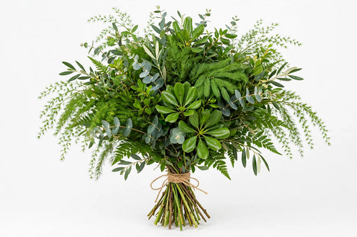 Imported Greens Mix w/ Plum - 30 Bunches/Box
