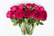 Next Day Delivery - ROSE DARCEY 45cm 5cm 12st - Hot Pink - 48 Stems [LIMITED]