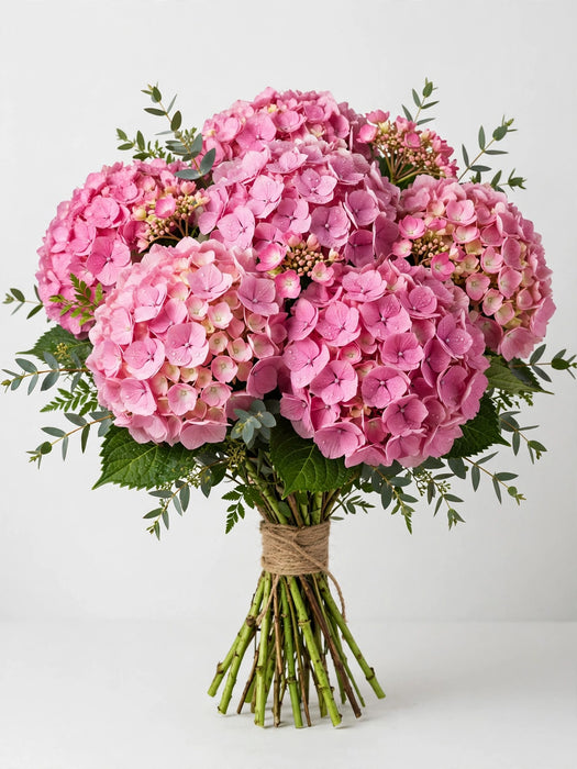 Hydrangea Pink Select - 40 Stems/Box
