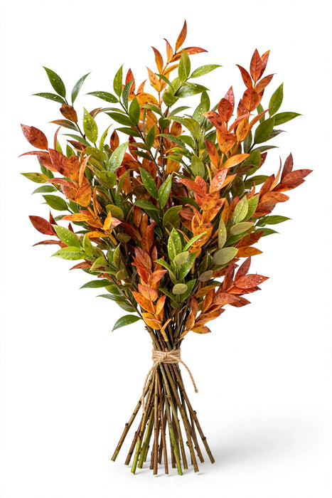 Ruscus FL. Autum 30BU/BX