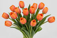 Tulip Collective - Time Out 42Cm 44Gram - Orange - 150 Stems
