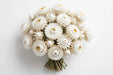 Next Day Delivery - STRAW FLOWER WHITE 70cm 10st - White - 120 Stems [LIMITED]