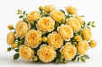 Next Day Delivery - ROSE ANTONIA GARDENS 50cm 5cm 25st - Yellow - 100 Stems [LIMITED]