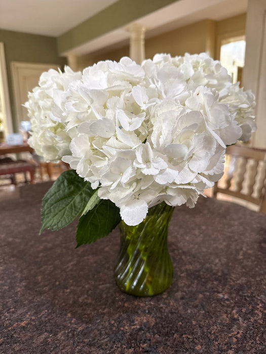 Smart Buy $6.25/Stem - Farm Direct White Hydrangeas  (40 STEMS) - U.S. Delivery Coast to Coast
