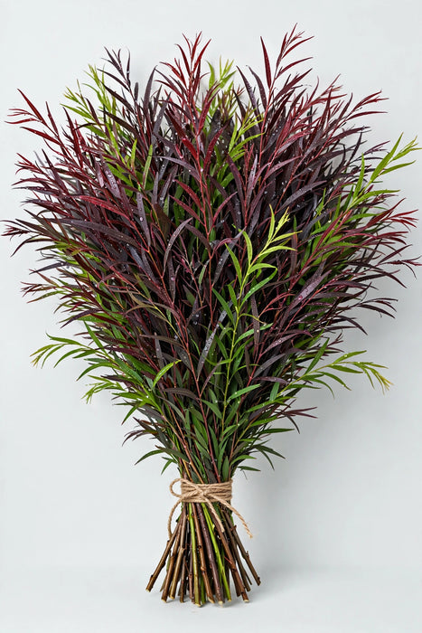 Agonis Foliage - 10 Bunches/Box