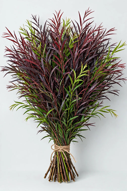 Agonis Foliage - 10 Bunches/Box