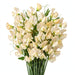Next Day Delivery - LATHYRUS NAOMI PREMIUM 45cm 25st - Cream - 100 Stems [LIMITED]