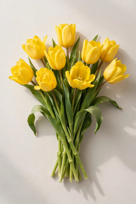 Next Day Delivery - Tulips Yellow 20BU/BX