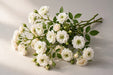Next Day Delivery - Spray Roses White Majolika 50CM 120ST/BX