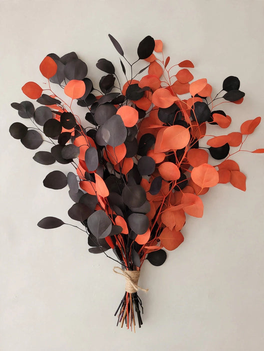 Euc Populus Orange & Black - 20 Bunches / Box (Mix & Match)