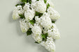 Hydrangea Royal Princess 80CM 18CM - White - 30 Stems