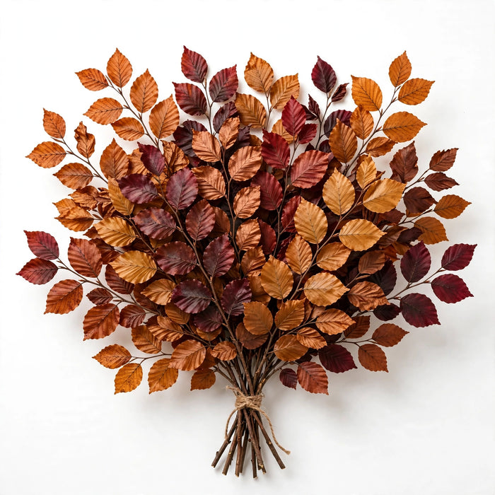Next Day Delivery - PRESER COPPER BEECH RAINBOW 80cm 5st 80cm 5st - Mixed - 30 Stems [LIMITED]