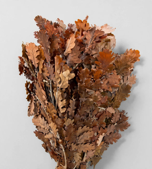 Oak Leaves Brown - 20 Bunches / Box (Mix & Match)