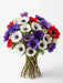 Next Day Delivery - Anemones Assorted 30-40 cm - 140 Stems [LIMITED]