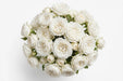 Next Day Delivery - ROSE TIBET! 50cm 4,5cm 25st - White - 100 Stems [LIMITED]